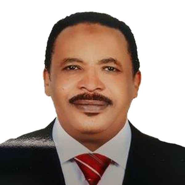 ABDULAZIZ BASHIR EL SHEIKH EDREES